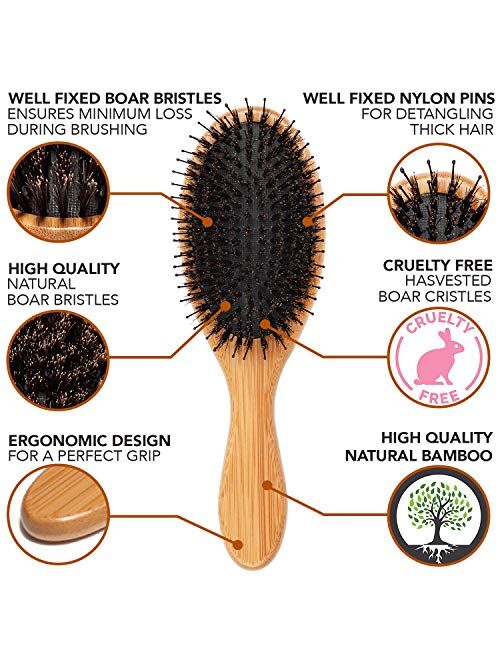 Belula Boar Bristle Hair Brush - Hair Brushes for Women & Mens Hair Brush, Detangler Brush, Hairbrush, Detangling Brush for Long, Curly or Any Type of Hair.
