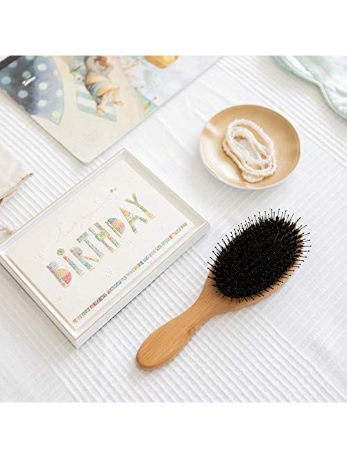 Belula Boar Bristle Hair Brush - Hair Brushes for Women & Mens Hair Brush, Detangler Brush, Hairbrush, Detangling Brush for Long, Curly or Any Type of Hair.
