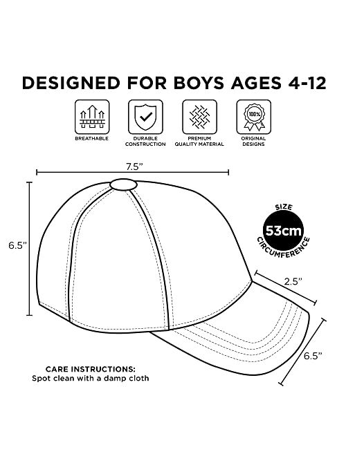 Disney boys Toddler Hat for Boy Ages 2-7, Lightning Mcqueen Kids Cap