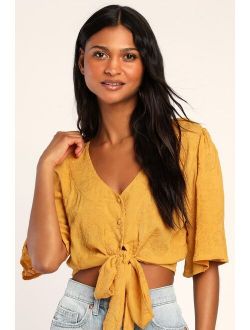 Delightful Darling Yellow Floral Embroidered Tie-Front Crop Top