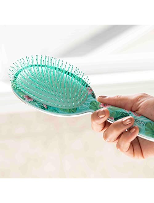 Framar Detangling Brush for Curly Hair Hair Brushes for Women Detangler, Hair Brush for Women, Hair Detangler Brush for Curly Hair, Elegant Hair Brush Detangler Kids Hair