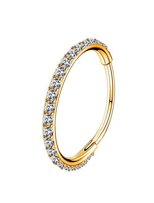 OUFER Gold Hinged Segment Earring Hoop 16G Stainless Steel with Cartilage Earrings Clear CZ Paved Tragus Helix Earrings Cartilage Earring Septum Nose Ring Hoop