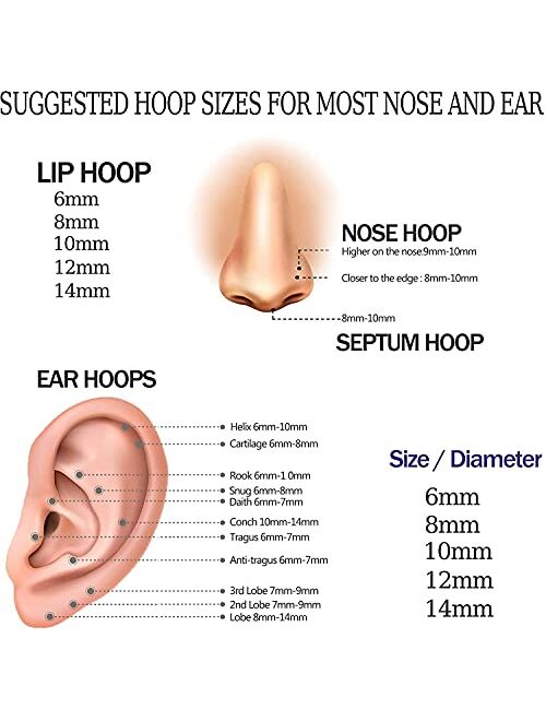 MILACOLATO 5Pcs 16G/18G/20G G23 Titanium Nose Rings Hoop Multi-Color Hinged Ear Cartilage Lip Septum Rings Body Piercing Jewelry 8MM/10MM/12MM