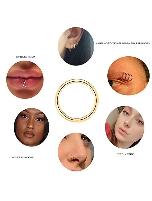 arvinpiercing 6pcs G23 Titanium Hinged Nose Rings Hoop - Cartilage Helix Conch Tragus 16G 18G Earring Hypoallergenic Septum Body Piercing Rings for Women Men Girls, Gold/