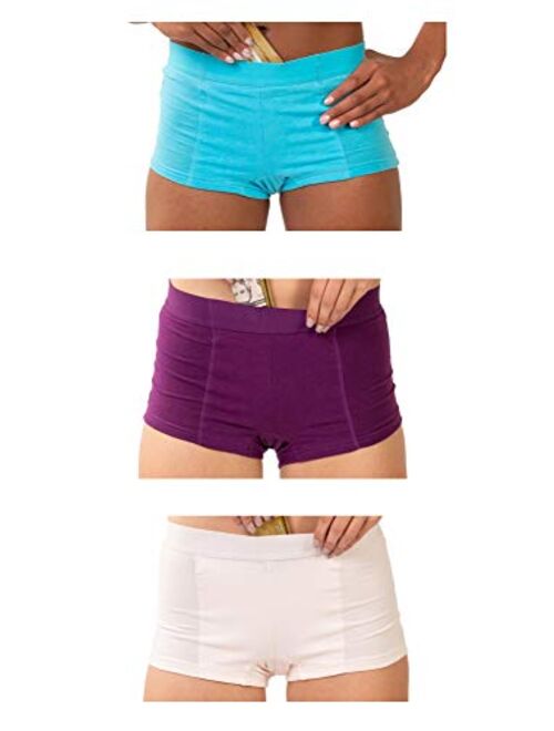 Stashitware 3 Pack Women's Secret Pocket Underwear Boy Brief Cotton Spandex