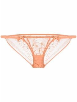 Agent Provocateur Tanya lace-embroidered briefs
