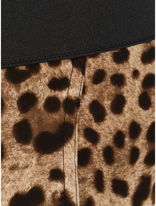 Dolce & Gabbana leopard print shaping-briefs