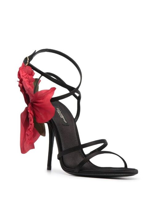 Dolce & Gabbana floral-applique sandals