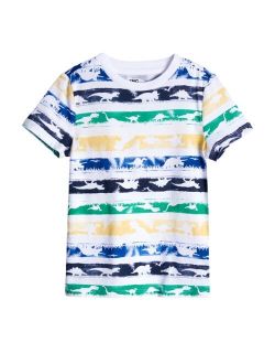 Little Boys Dino Graphic T-shirt
