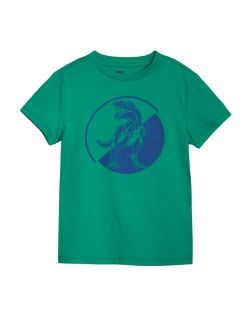 Toddler Boys Graphic Short Sleeve T-shirt