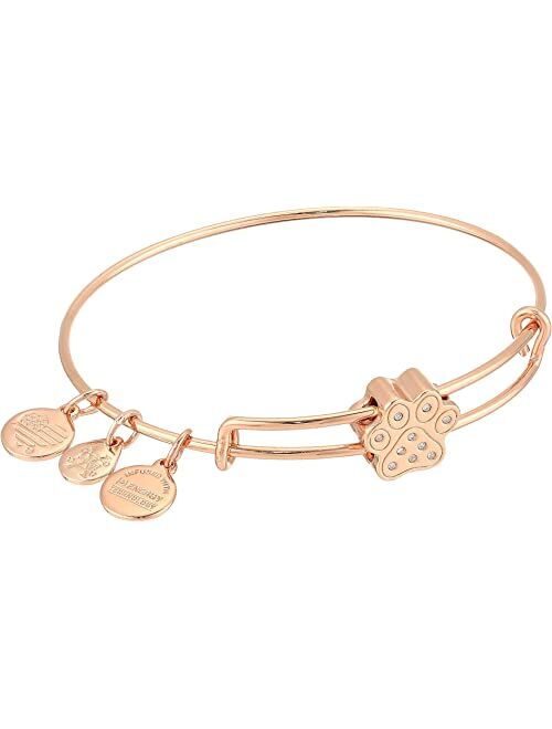 Alex and Ani Pave Paw Print Symbol Bead Bangle Bracelet
