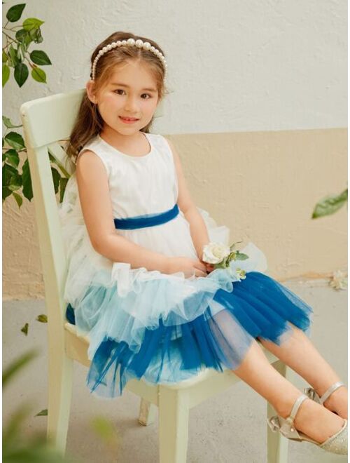Shein Toddler Girls Colorblock Mesh Layered Hem Dress