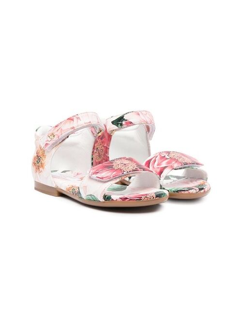 Dolce & Gabbana Kids floral-print touch-strap sandals