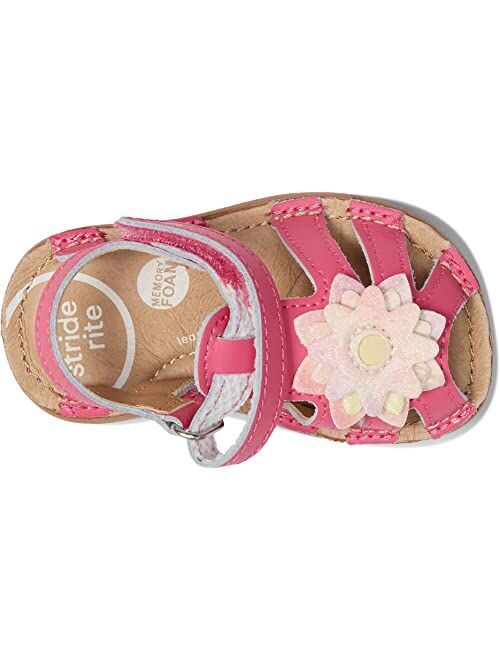 Stride Rite SRT Lottie (Toddler)