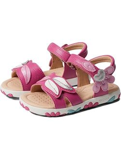 Kids Haiti Sandal 19 (Toddler/Little Kid/Big Kid)