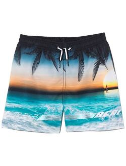 sunset-print swimming shorts