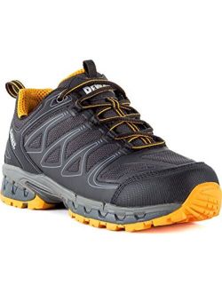 DEWALT Men's Boron Aluminum Safety Toe Work Shoes