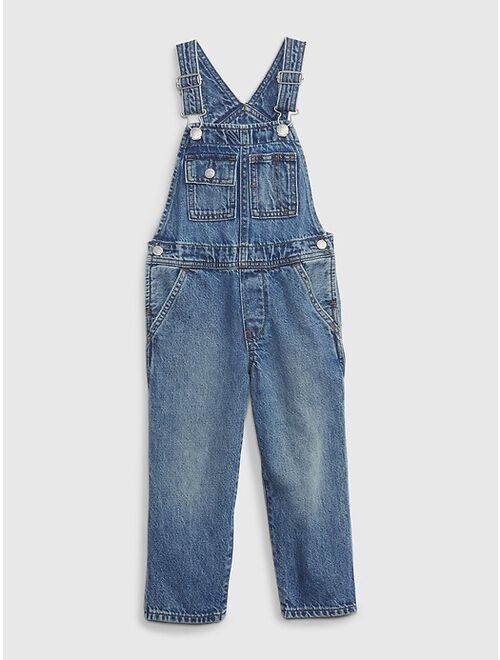 Gap Toddler Denim Overalls with Washwell
