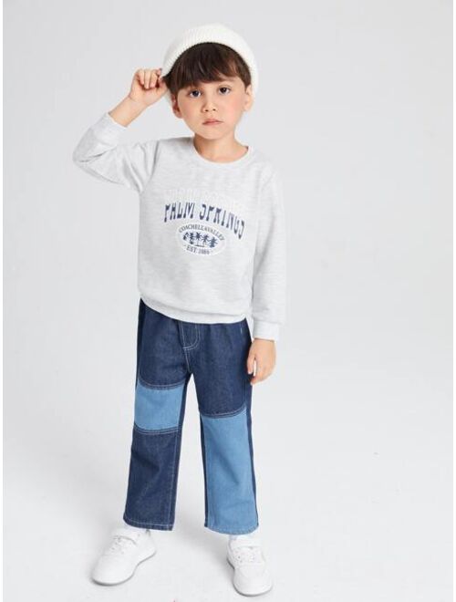 SHEIN Toddler Boys Colorblock Straight Leg Jeans