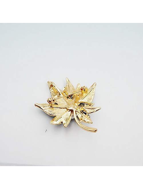 Unknown Urns Ashes Funeral Maple Leaf Shape Brooch Clothes Scarf Bag Accessories Brooch Pins Elegant Breastpin for Girls Ladies Women,Colour Name:Colour 1 Pet Memorial Do