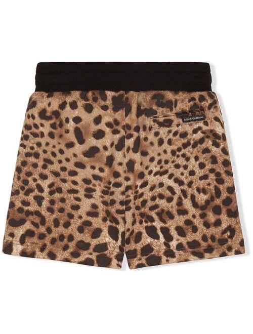 Dolce & Gabbana Kids leopard pattern shorts
