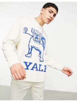knitted oversized sweater with YALE design in stone