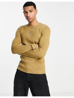 knitted muscle fit rib crew neck sweater in light brown