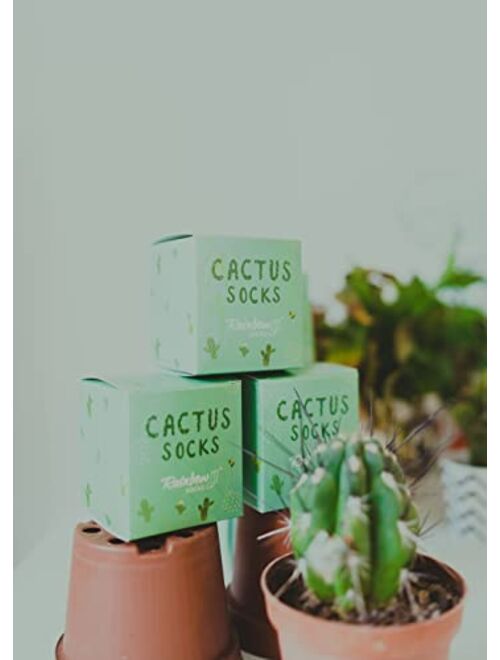 Rainbow Socks - Cactus in a pot green cactus socks for women and men gift for fans of cacti, succulents, green plants