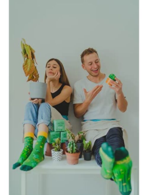 Rainbow Socks - Cactus in a pot green cactus socks for women and men gift for fans of cacti, succulents, green plants