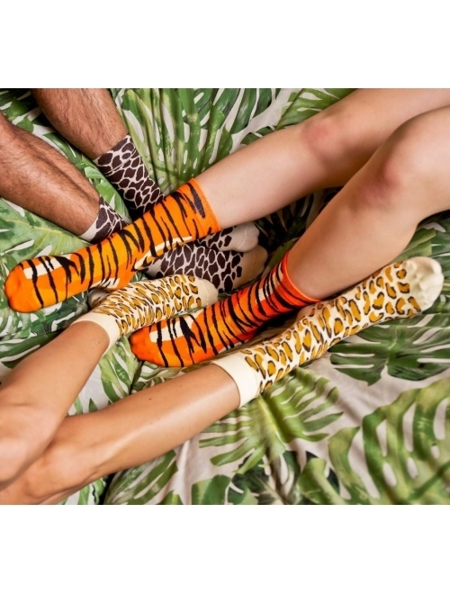 Rainbow Socks - Men Women Novelty Wild Animal Patterns Socks Box - 3 Pairs