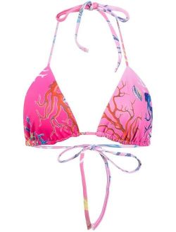 Cynthia Rowley coral-print bikini top