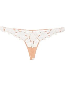 Lily embroidered hipster thong