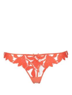 Lily embroidered hipster thong
