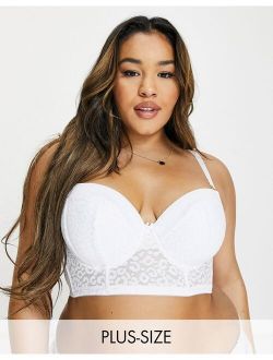 Plus New Look Curve animal print lace push up bra in white