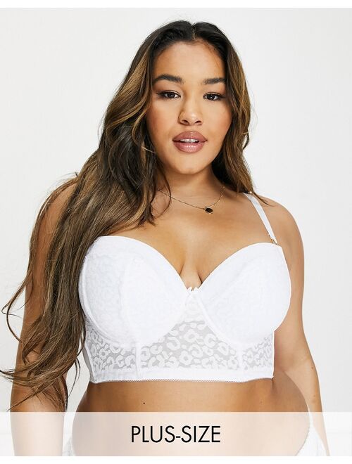 New Look Plus New Look Curve animal print lace push up bra in white