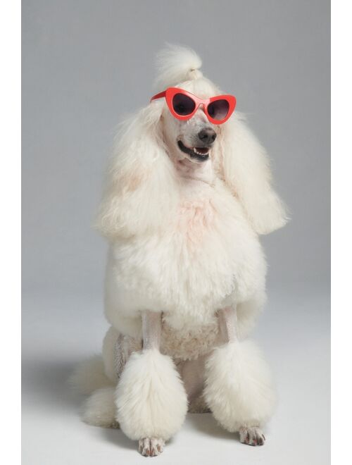 Anthropologie Oversized Cat Eye Sunglasses