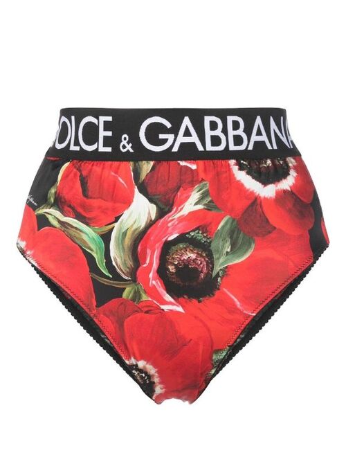 Dolce & Gabbana poppy-print high waist briefs