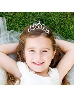 Butterfly Craze Flower Girl Bridesmaid Bridal Princess Tiara Comb