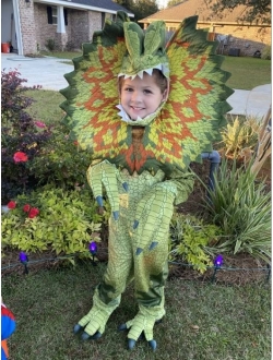Dilophosaurus Dinosaur Costume for Kids