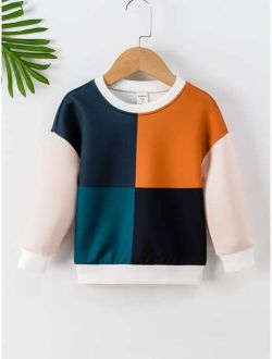 Toddler Boys Colorblock Drop Shoulder Sweatshirt