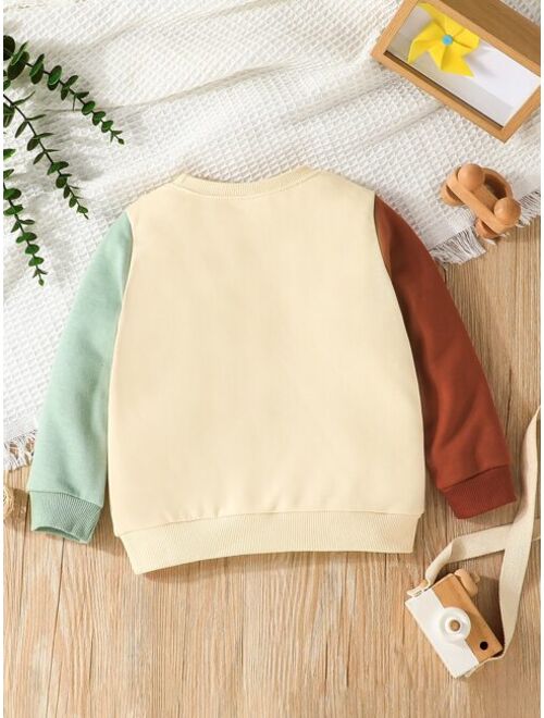 Shein Toddler Boys Color Block Letter Embroidery Sweatshirt