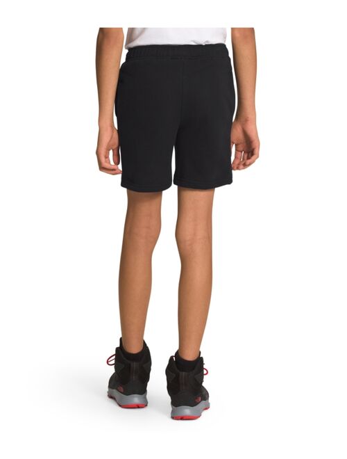 The North Face Big Boys Never Stop Wearing Shorts