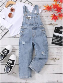 Toddler Boys 1pc Slogan Patched Ripped Denim Overalls