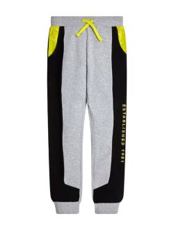 Big Boys Embroidered Graphic Active Pants