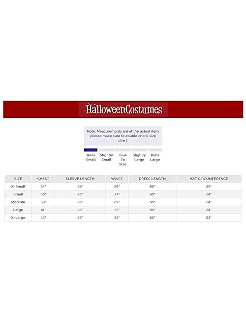 Fun Costumes Women's Deluxe Wicked Witch Costume