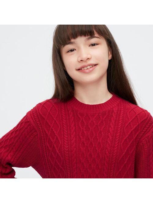UNIQLO Cable Knit Long Sleeve Dress
