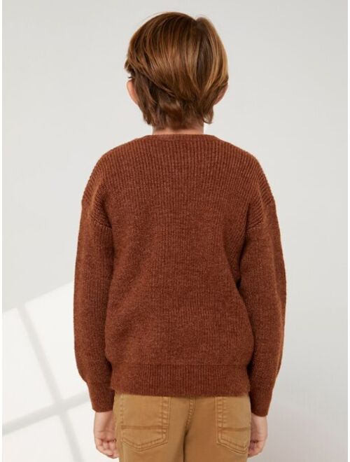 SHEIN BASICS Boys Drop Shoulder Sweater