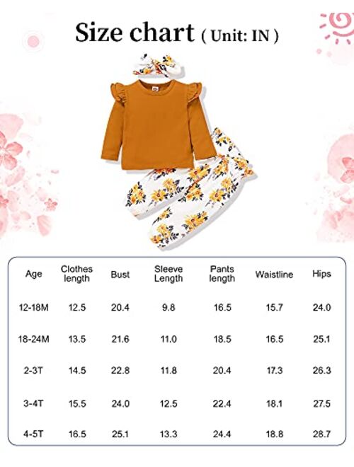 SANMIO Cute Floral Girl Clothes Outfits, Toddler Baby Girl Clothes Set Ruffle T-Shirt + Pant Set with Headband