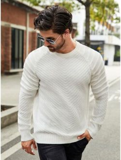 Men Textured Knit Raglan Sleeve Sweater