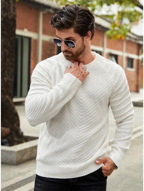 Shein Men Textured Knit Raglan Sleeve Sweater